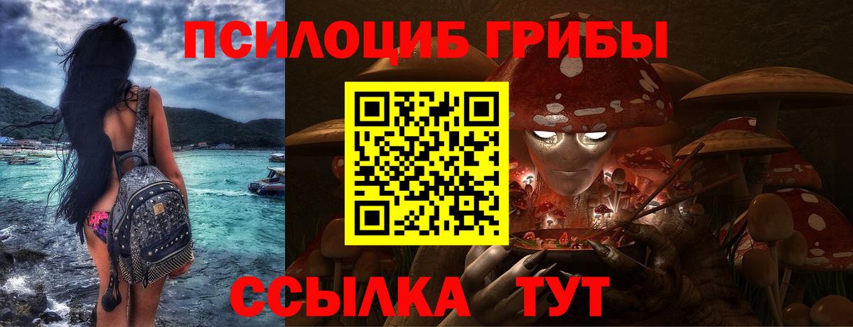 Псилоцибиновые грибы MAGIC MUSHROOMS  Вход с VPN  Кольчугино  Псилоцибиновые грибы Cubensis 